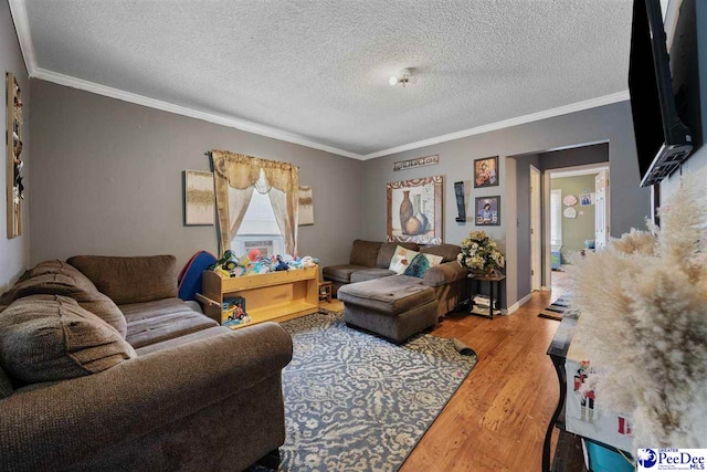 903 N Park St, Mullins, SC 29574 - living room with wood finished floors, ornamental molding, and a textured ceiling