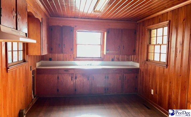 kitchen with wood ceiling, a wealth of natural light, dark wood-type flooring, and wood walls