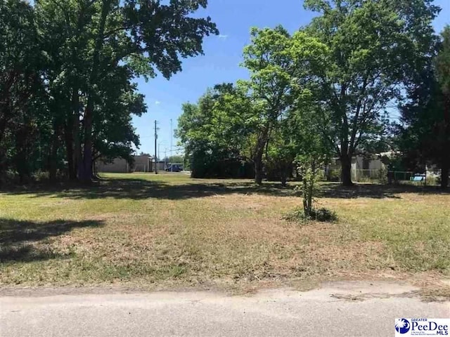 425 Guess St, Darlington SC, 29532 land for sale