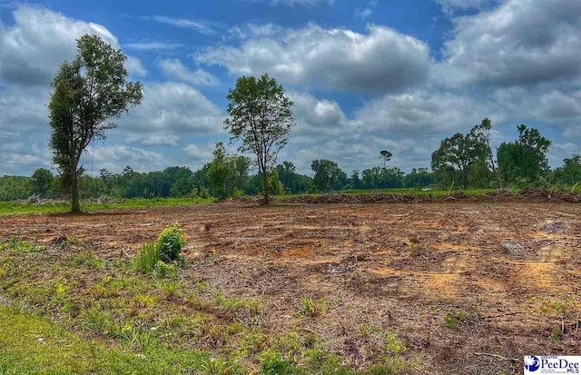 TBD E Academy Extension, Latta SC, 29565 land for sale