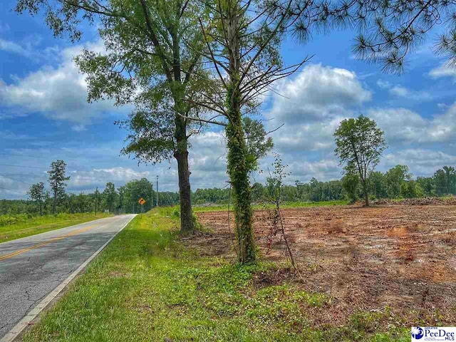 Listing photo 2 for TBD E Academy Extension, Latta SC 29565