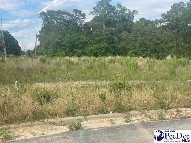 Listing photo 3 for LOT E Washington St, Hartsville SC 29550