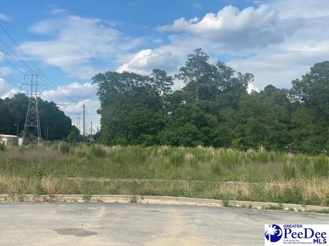 LOT E Washington St, Hartsville SC, 29550 land for sale