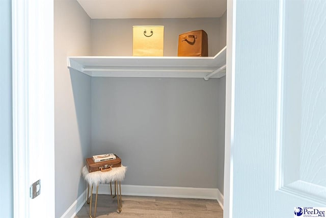 spacious closet featuring hardwood / wood-style flooring