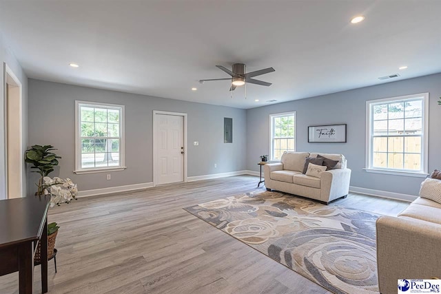 living room with ceiling fan and light wood-type flooring