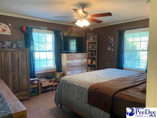 carpeted bedroom with crown molding, a textured ceiling, and ceiling fan