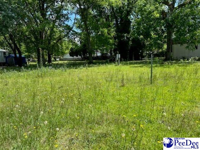 TBD Pine St, Darlington, SC 29532