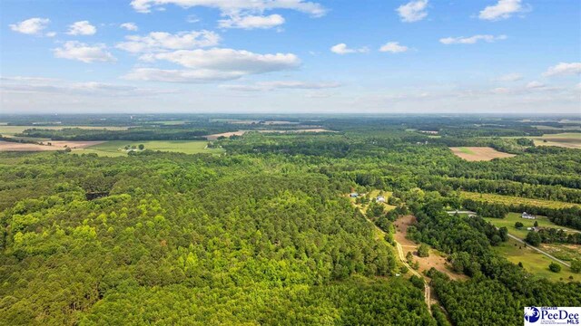 TBD Sandspur Cir, Bennettsville, SC 29512