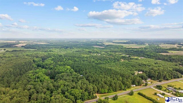 TBD Sandspur Cir, Bennettsville, SC 29512