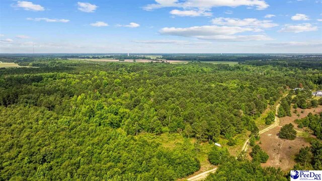 TBD Sandspur Cir, Bennettsville, SC 29512