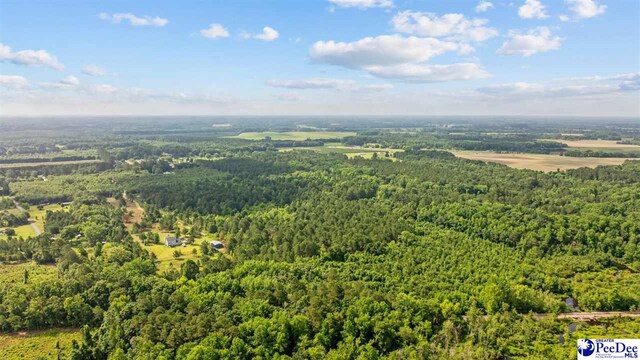 TBD Sandspur Cir, Bennettsville, SC 29512