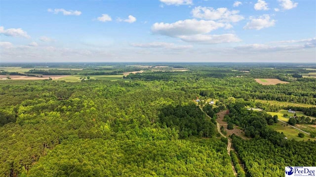 TBD Sandspur Cir, Bennettsville, SC 29512