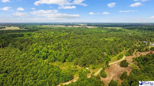 TBD Sandspur Cir, Bennettsville, SC 29512