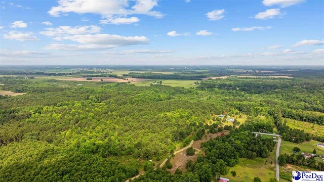 TBD Sandspur Cir, Bennettsville, SC 29512