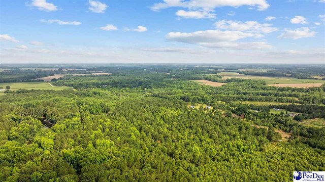 TBD Sandspur Cir, Bennettsville, SC 29512