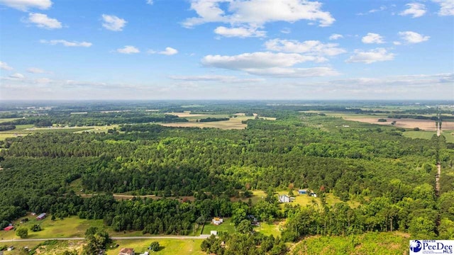 TBD Sandspur Cir, Bennettsville, SC 29512