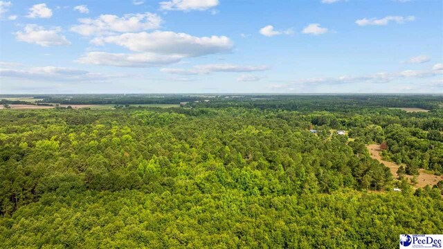 TBD Sandspur Cir, Bennettsville, SC 29512