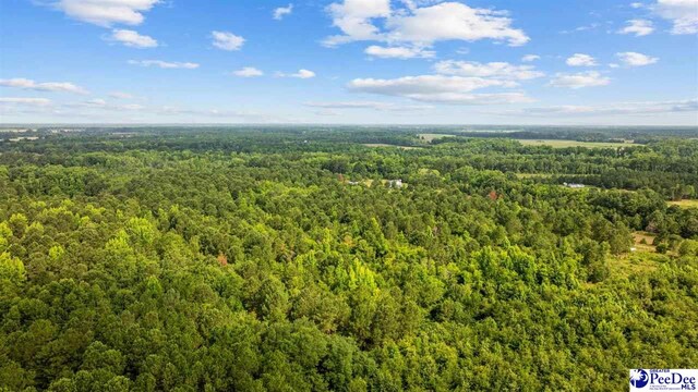 TBD Sandspur Cir, Bennettsville, SC 29512