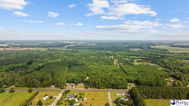 TBD Sandspur Cir, Bennettsville, SC 29512
