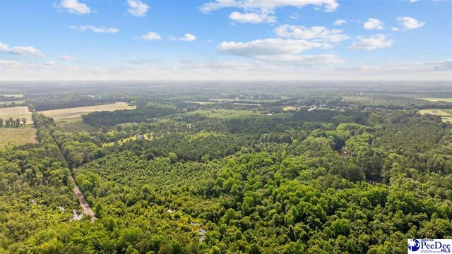 TBD Sandspur Cir, Bennettsville, SC 29512