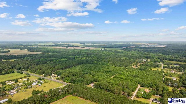 TBD Sandspur Cir, Bennettsville, SC 29512