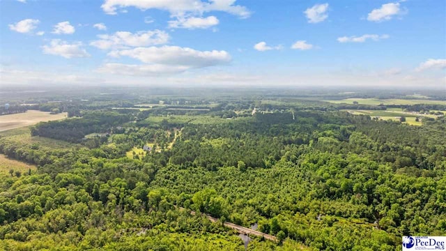 TBD Sandspur Cir, Bennettsville, SC 29512