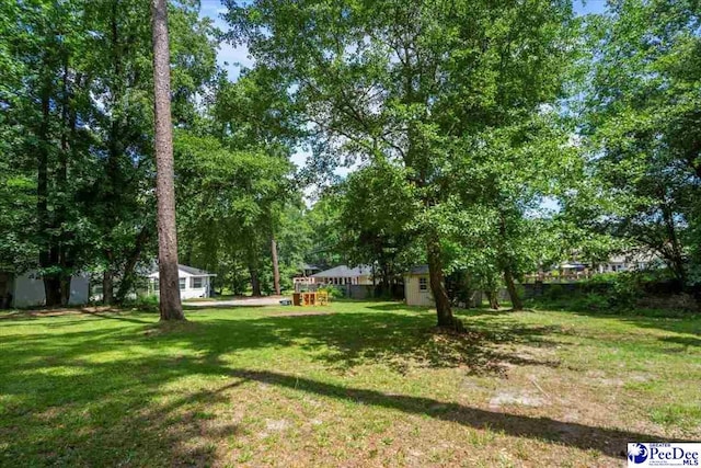 516 S Cashua Dr, Florence, SC 29501 - view of green lawn with a storage unit