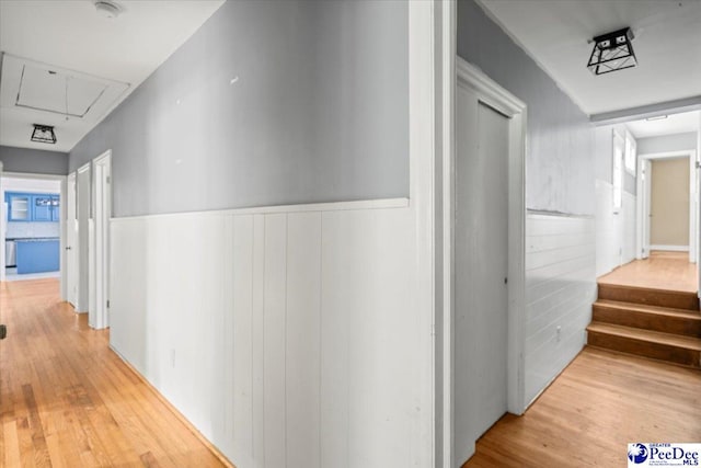 516 S Cashua Dr, Florence, SC 29501 - corridor with attic access, wood finished floors, and wainscoting