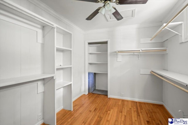 516 S Cashua Dr, Florence, SC 29501 - spacious closet featuring light wood finished floors and ceiling fan