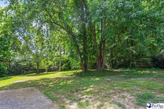 516 S Cashua Dr, Florence, SC 29501 - view of grassy yard with a view of trees