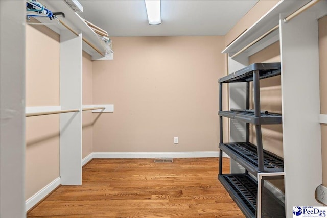 302 Cashua St, Darlington, SC 29532 - walk in closet with light wood finished floors