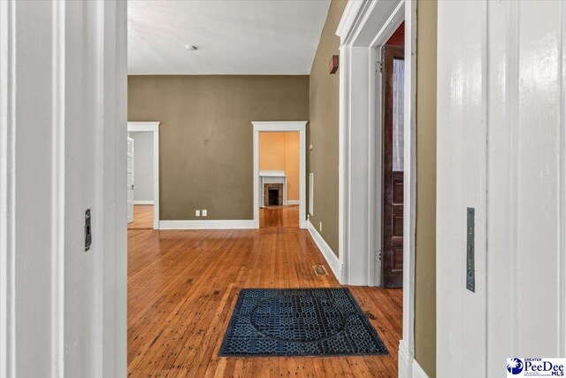 302 Cashua St, Darlington, SC 29532 - hall with wood-type flooring and baseboards