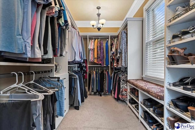 439 Whitman Ave, Florence, SC 29501 - walk in closet featuring carpet flooring and a chandelier