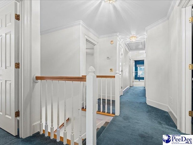 corridor featuring ornamental molding and carpet