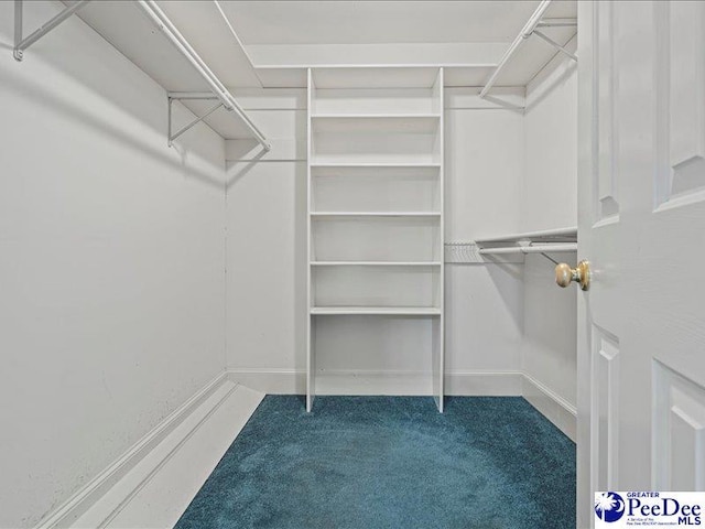 walk in closet with carpet