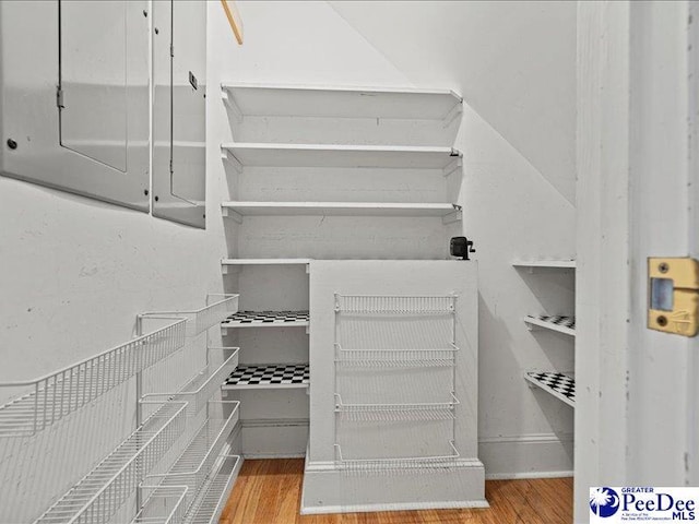 pantry with electric panel