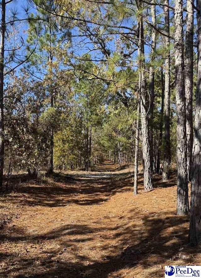 TBD Nivens Rd, Patrick SC, 29584 land for sale