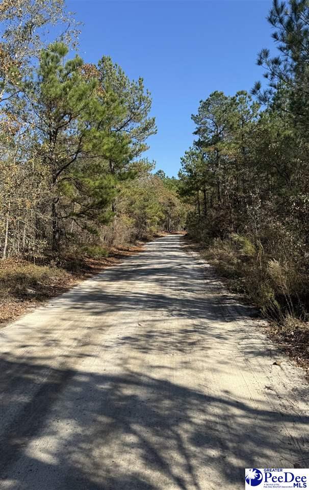 Listing photo 2 for TBD Nivens Rd, Patrick SC 29584