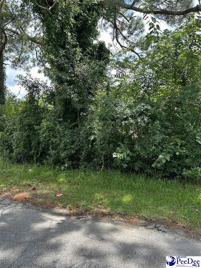 709 Ingram St, Florence, SC 29501 - photo 1