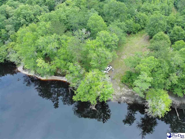 TBD Mcfarlin St, Kingstree, SC 29556 - photo 11