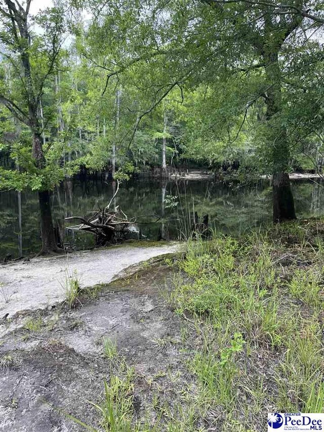 TBD Mcfarlin St, Kingstree, SC 29556 - photo 4