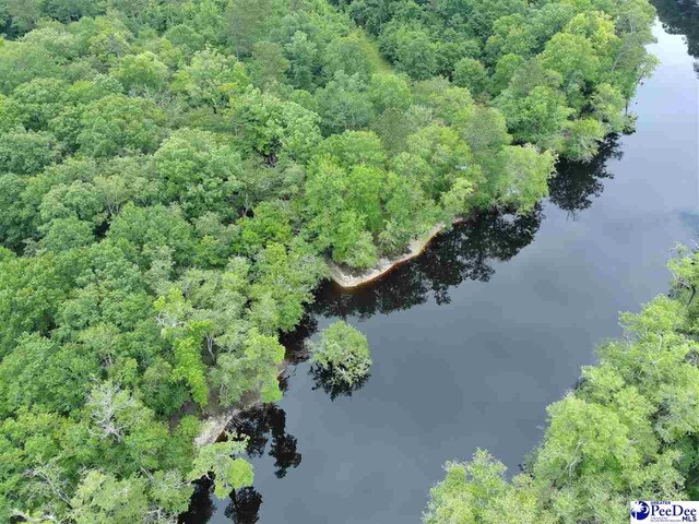 TBD Mcfarlin St, Kingstree, SC 29556 - photo 10