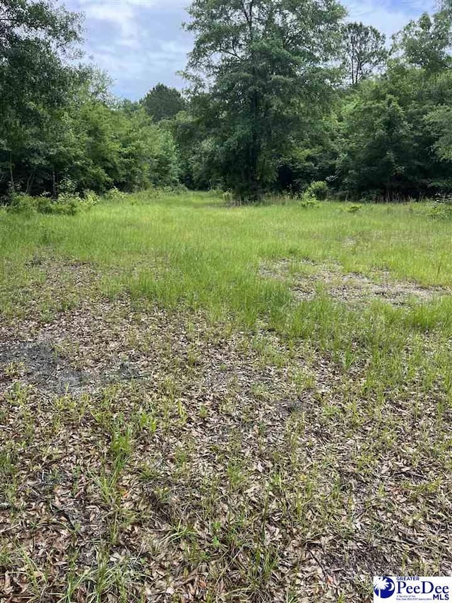 TBD Mcfarlin St, Kingstree, SC 29556 - photo 3
