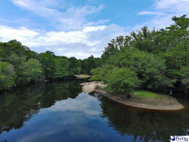 TBD Mcfarlin St, Kingstree, SC 29556 - photo 14