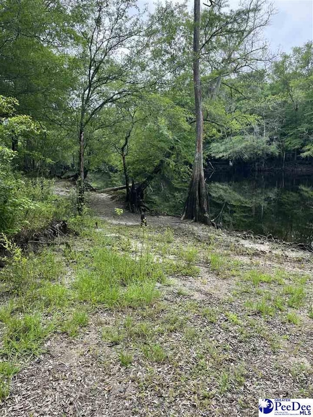 TBD Mcfarlin St, Kingstree, SC 29556 - photo 2