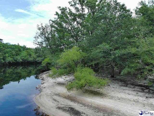 TBD Mcfarlin St, Kingstree, SC 29556 - photo 15