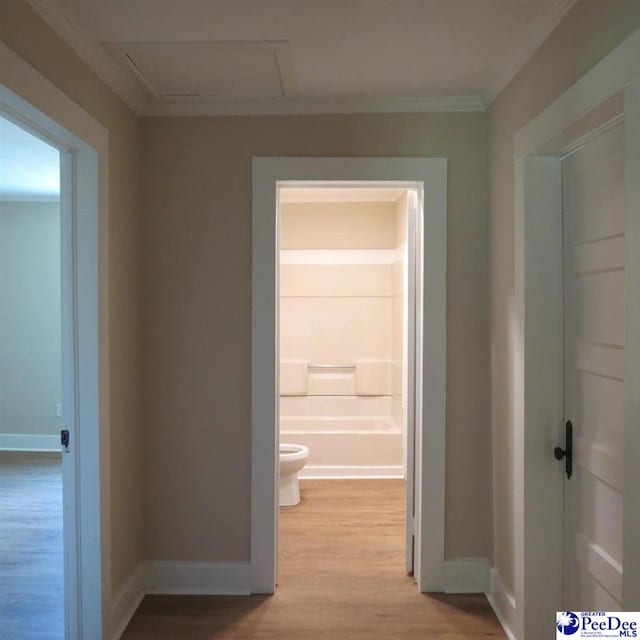 832 N Firetower Rd, Florence, SC 29506 - photo 11
