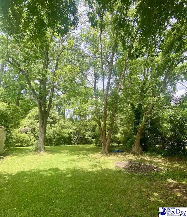 867 Congaree Dr, Florence, SC 29501 - view of grassy yard