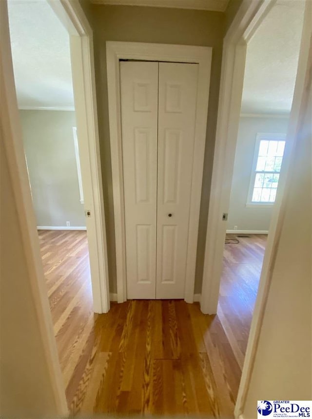 867 Congaree Dr, Florence, SC 29501 - corridor with light wood finished floors, ornamental molding, and baseboards