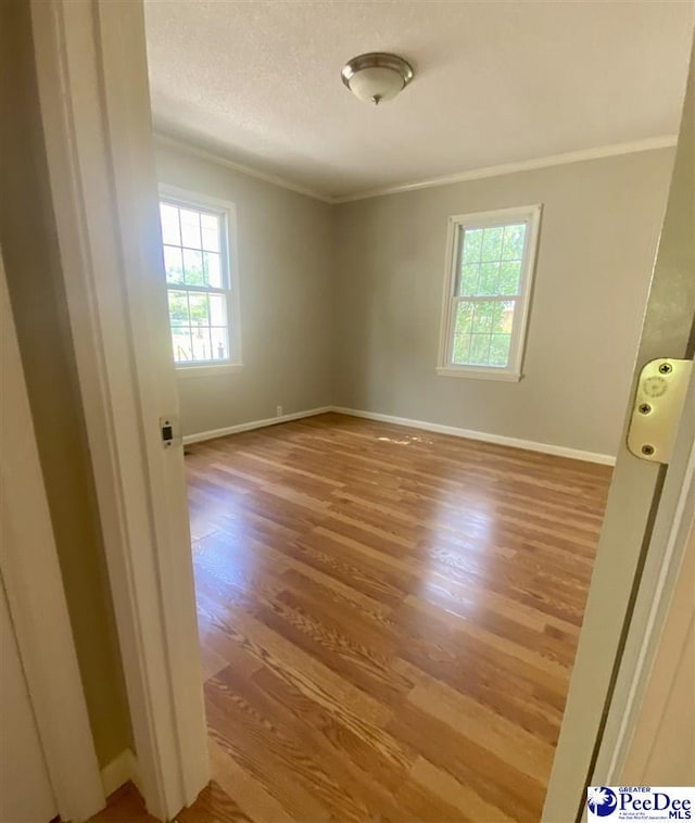 867 Congaree Dr, Florence, SC 29501 - empty room with ornamental molding, healthy amount of natural light, wood finished floors, baseboards, and a textured ceiling